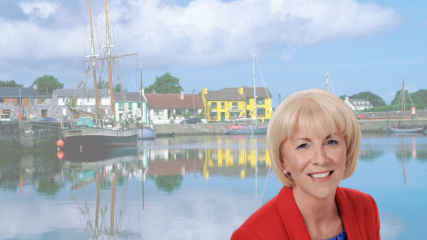 €108K study of Oranmore-Kinvara coastline to take 18 months