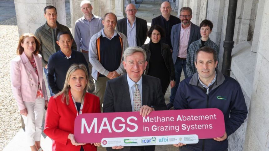 €1.4m for University of Galway to lead research on methane reduction in farming