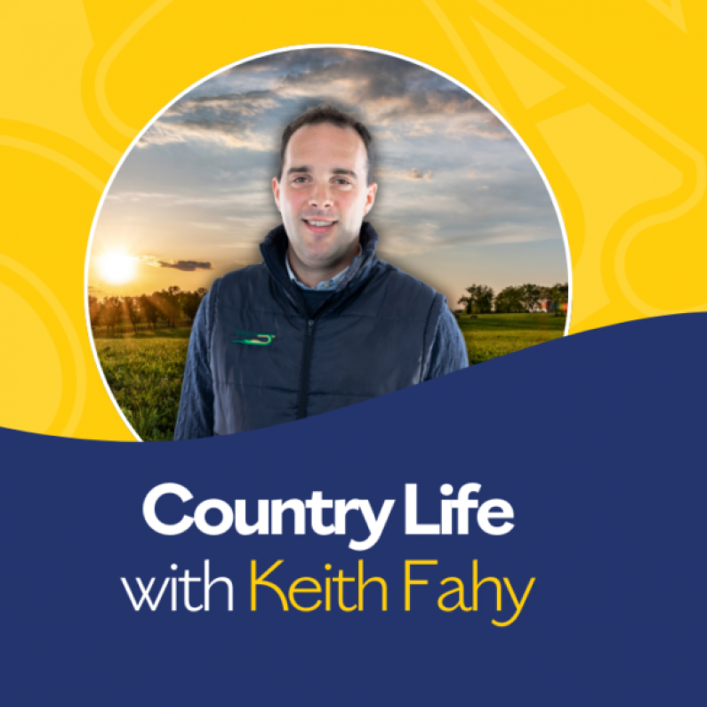 Country Life with Keith Fahy 17th Sept 2024 - Ploughing Special