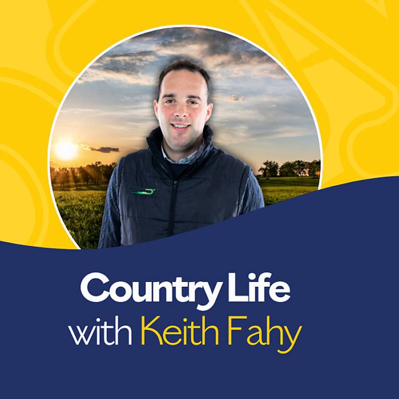 Country Life with Keith Fahy (Tuesday, 10th December 2024)