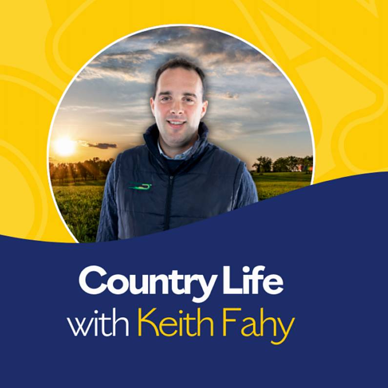 Country Life with Keith Fahy (Tuesday, 11th June 2024)