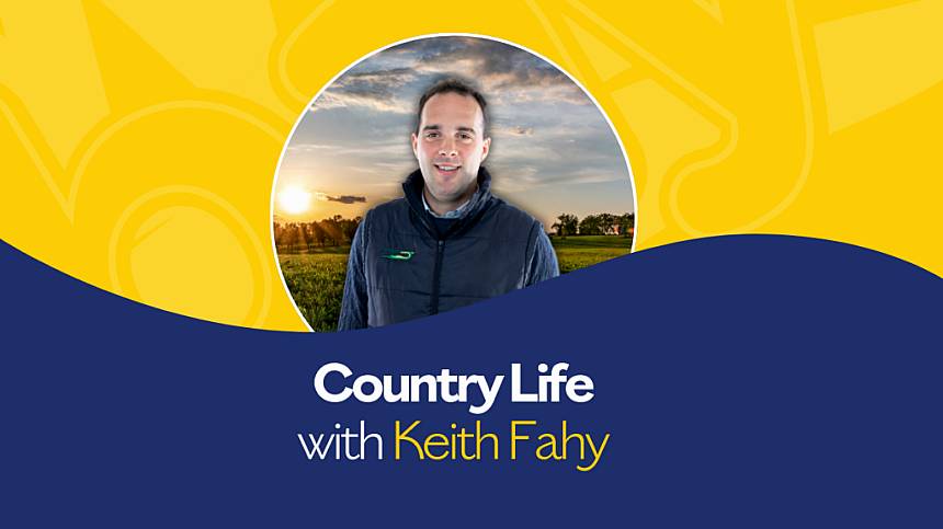 Country Life with Keith Fahy (Tuesday, 12th November 2024)