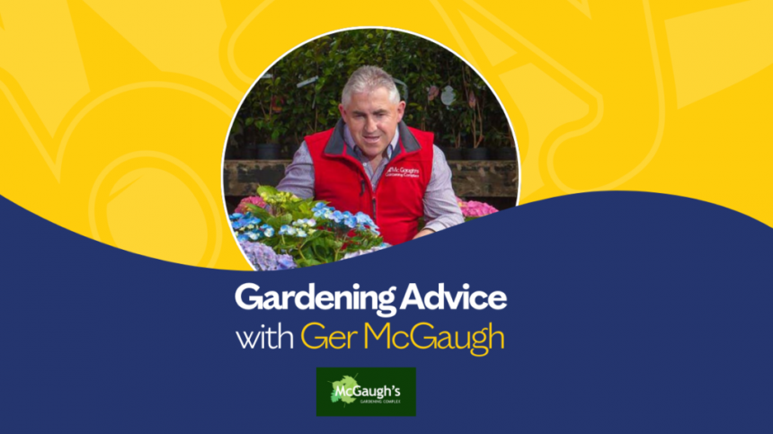 Gardening Advice with Ger McGaugh