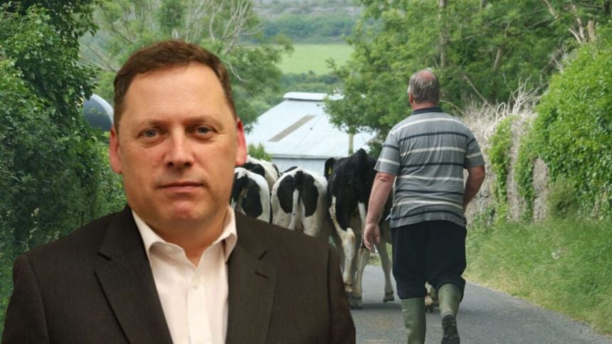 MEP candidate Barry Cowen says farmers need more support, not more hassle amid worsening weather