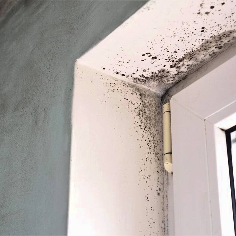Councillor calls for more frequent valuations on vacant sites and homes