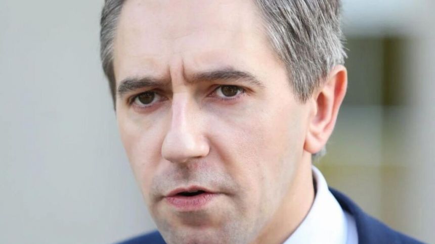 State apology delivered by Taoiseach Simon Harris in Dáil Éireann