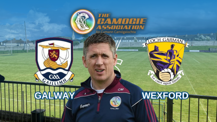 Wexford vs Galway (All-Ireland Senior Camogie Championship Preview with Cathal Murray)