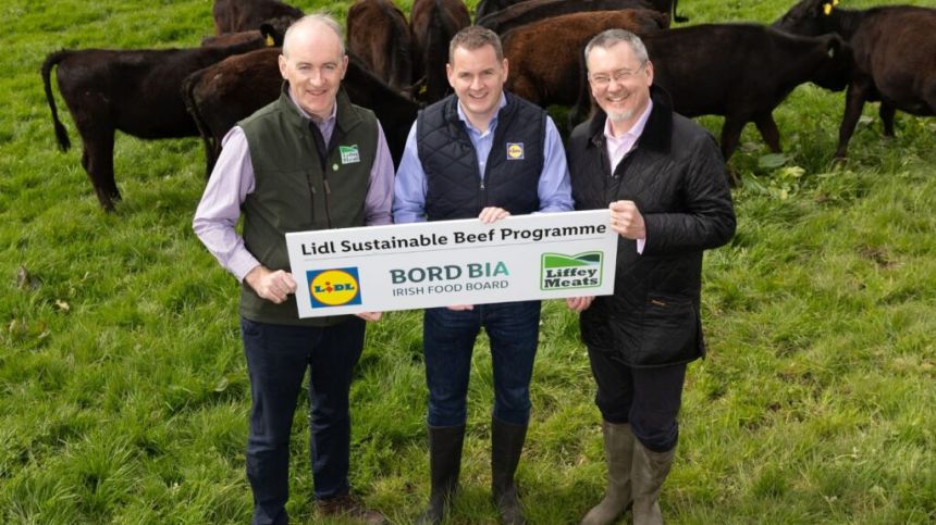 Galway farmers to take part in Lidl new sustainable beef programme