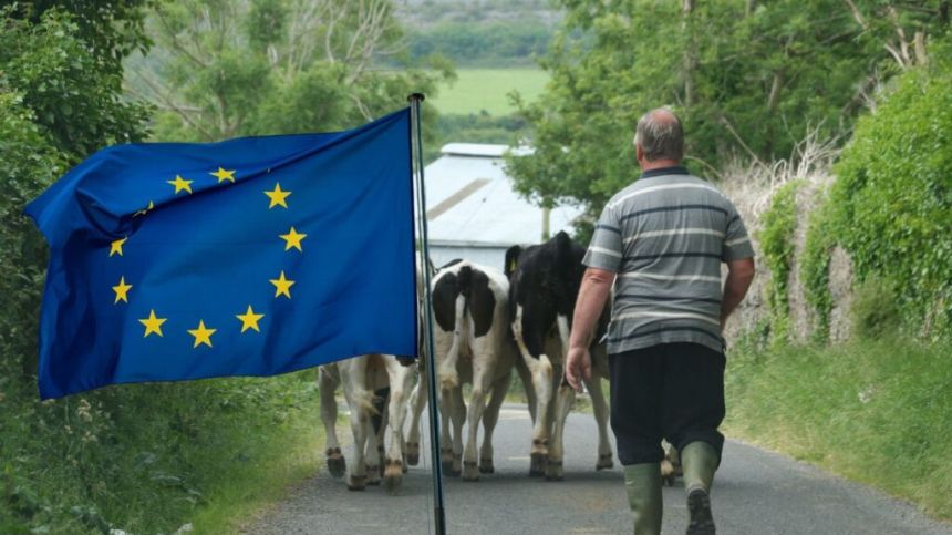 Galway IFA executives urge farmers to attend meeting with Euro elections candidates