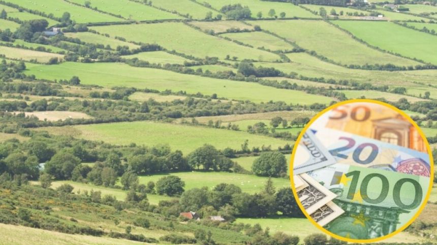 Farmers with lower payments in West to benefit from €15m CAP boost