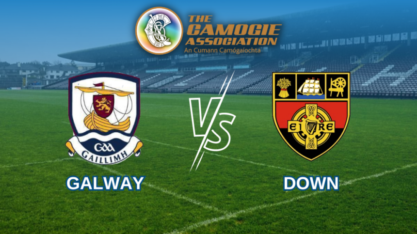 Glen Dimplex All-Ireland Senior Camogie Championship Preview - Galway v Down