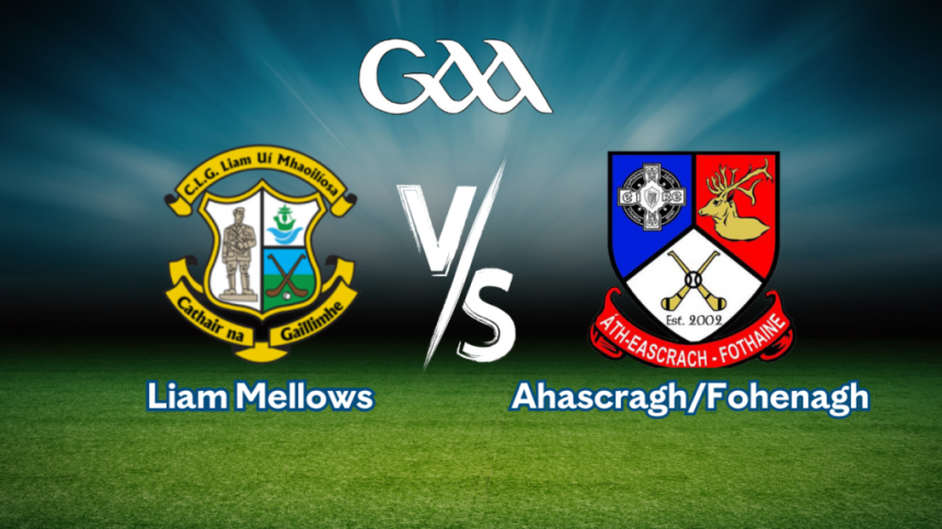 Senior B Hurling Championship, Liam Mellows vs Ahascragh/Fohenagh