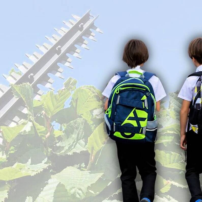 Calls for hedge cutting near schools to be prioritised as new academic year approaches