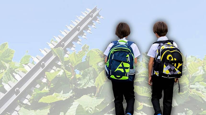 Calls for hedge cutting near schools to be prioritised as new academic year approaches