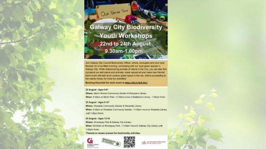 Young people invited to Biodiversity workshops in Galway city