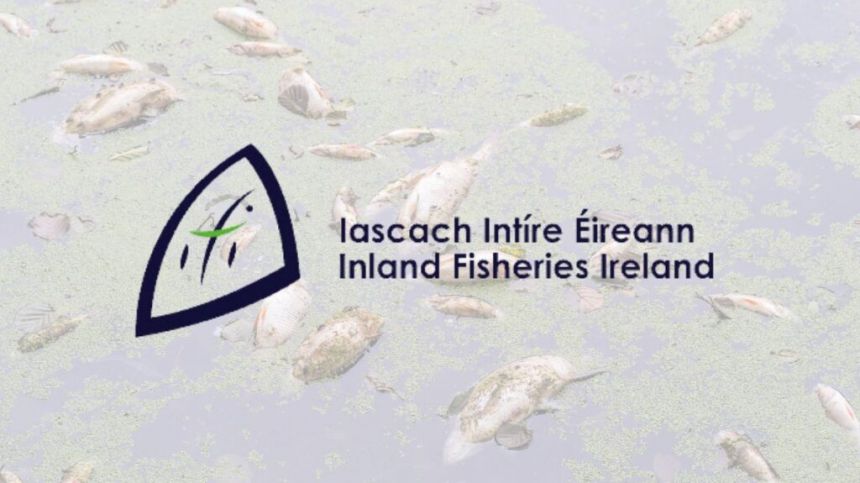 64 incidents of fish kills in Galway waterways since 1969