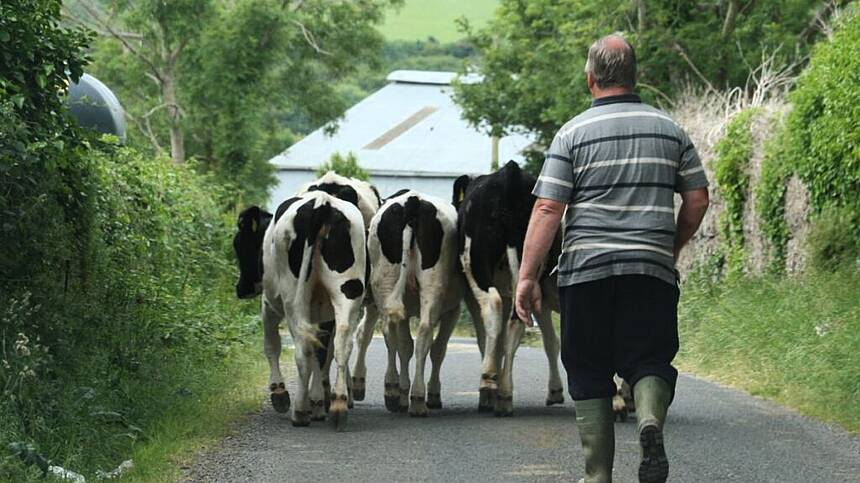 Galway has country's oldest farm holders according to CSO