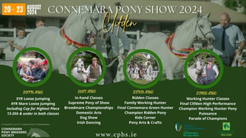 Countdown to 99th CPBS Annual Show at CPBS Showgrounds in Clifden has Begun