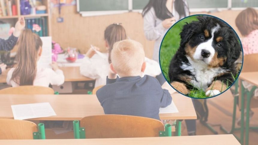 Madra launches series of educational workshops in primary schools