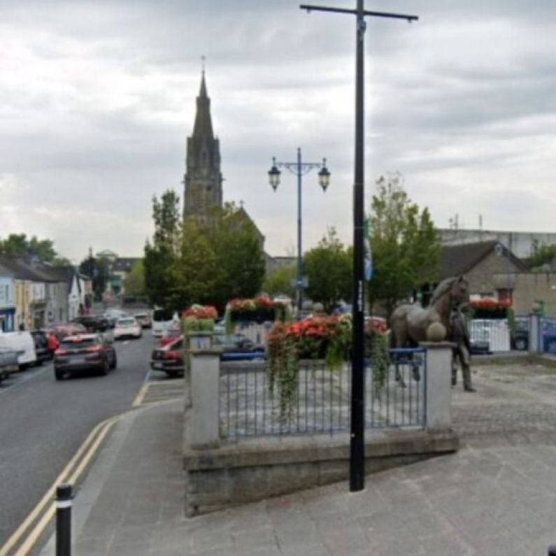 Ballinasloe councillors approve €10m local budget for 2025 despite some grumblings