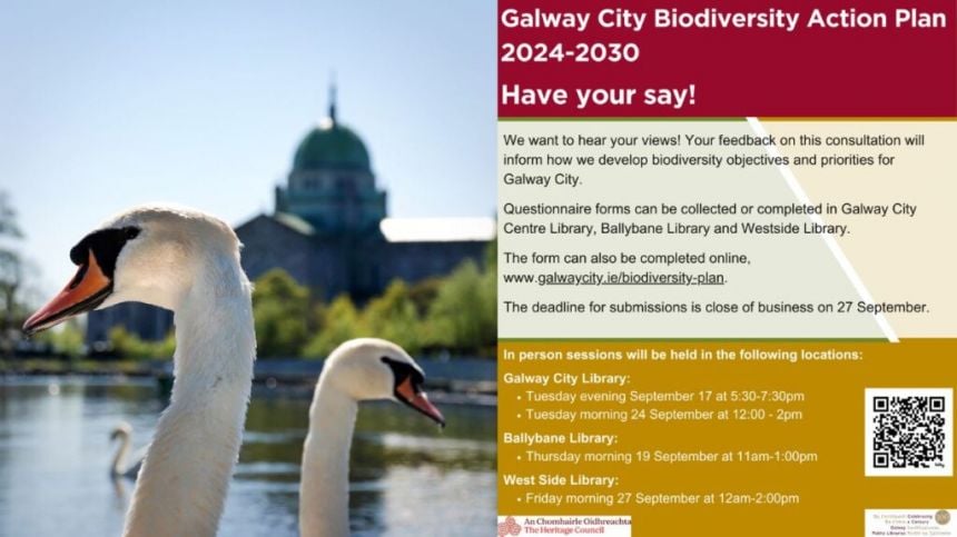 Public information sessions on Galway city's new Biodiversity Action Plan to begin tomorrow