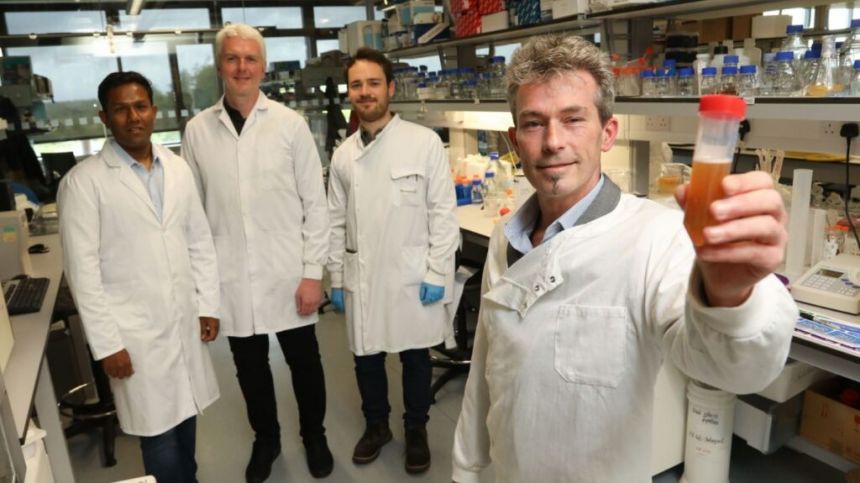 Galway-based company to carry out human trials on combatting viruses, bacteria and parasites