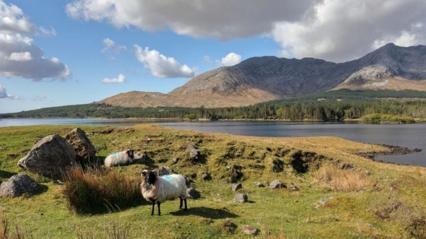 Claims rent pressure zone status for County Galway places Connemara tourism at risk