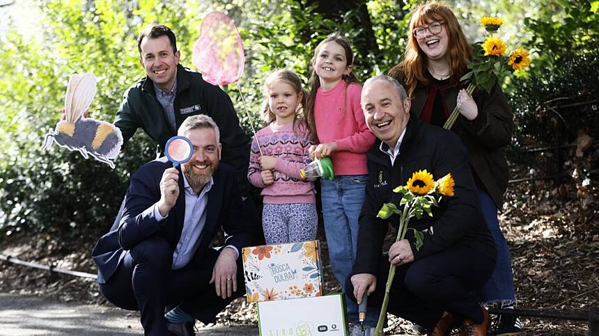 Seventeen Galway schools to take part in Pollinator Project