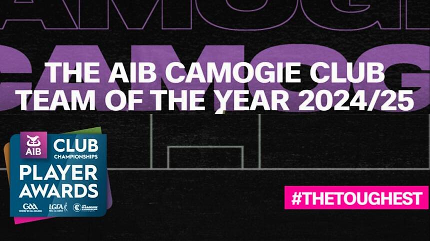 Seven Sarsfields Players Make AIB Camogie Club Team of the Year but Loughrea Aren't Acknowledged in Hurling Selection