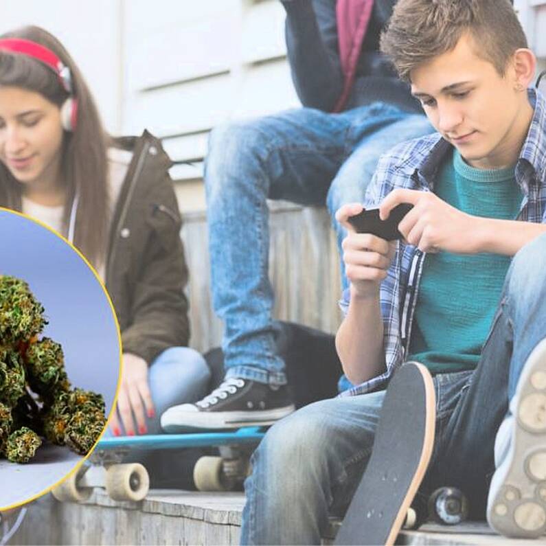New study shows one in five West of Ireland teenagers have tried cannabis