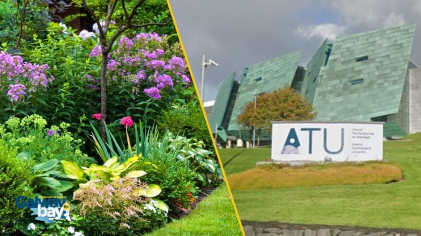 Bloom Gold Medal winner headlines ATU Galway evening on the environment