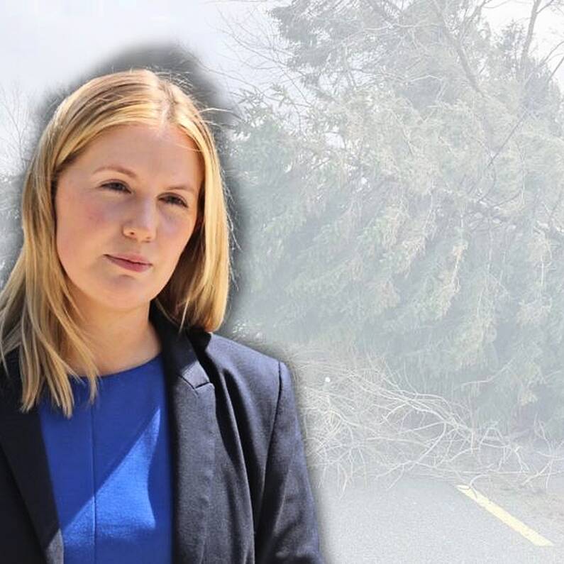 Local TD demands Government abandon two week break amid emergency situation after Storm Eowyn