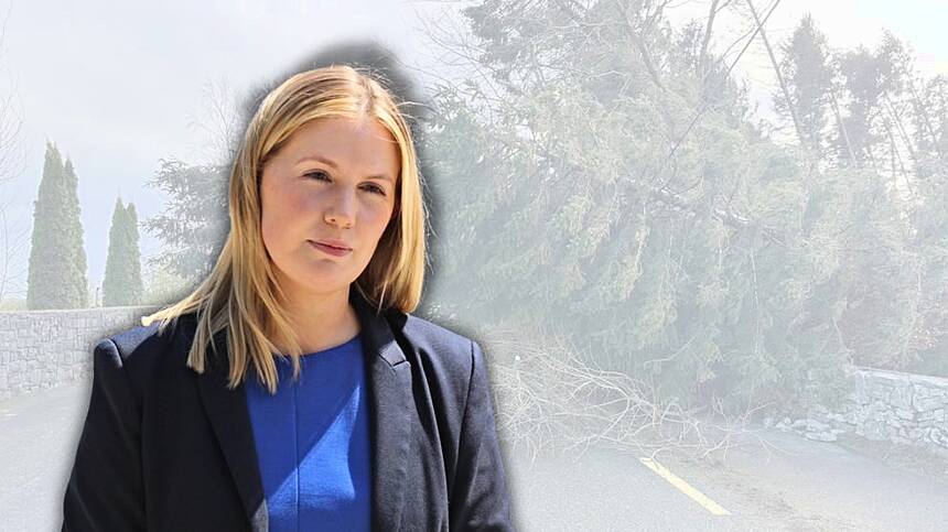 Local TD demands Government abandon two week break amid emergency situation after Storm Eowyn