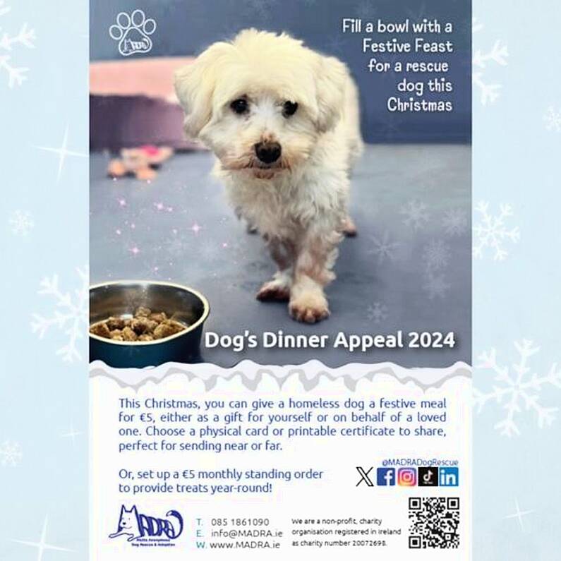 MADRA invites donations for annual Dog's Dinner Appeal