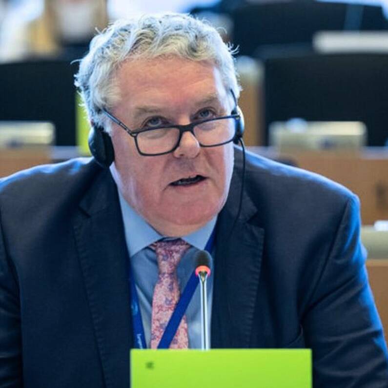 Local MEP urges Independent TDs to make Mercosur Trade Deal "red line" in Government formation talks