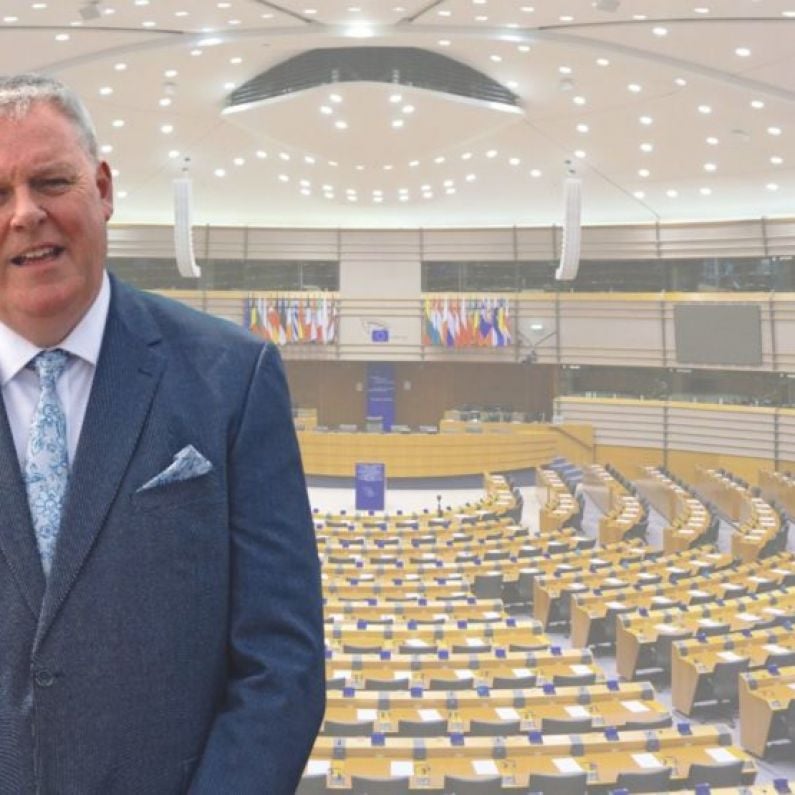 MEP Mullooly calls out 'hypocrisy' in EU Parliament over situation in Lebanon