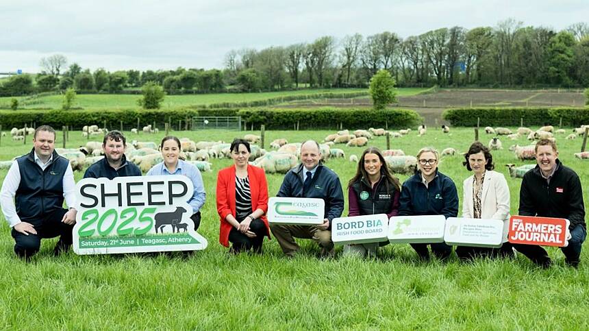 Annual sheep information open day returns to Athenry