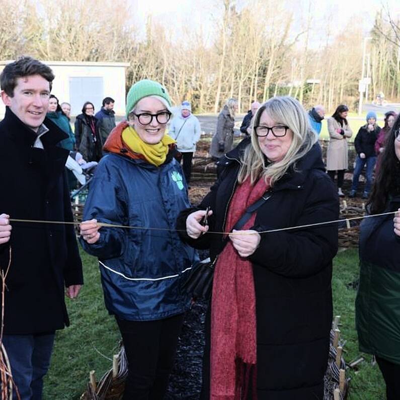 University of Galway plants ‘Pocket Forest’ woodland on campus