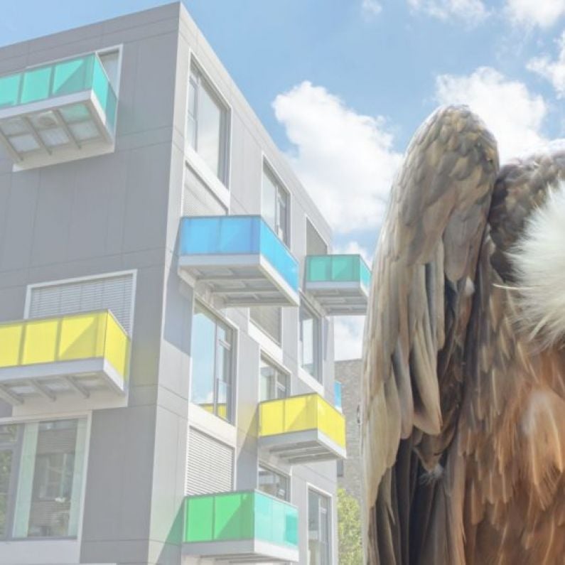 Claim vulture funds will soon own more student accommodation in Galway than universities