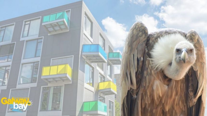 Claim vulture funds will soon own more student accommodation in Galway than universities