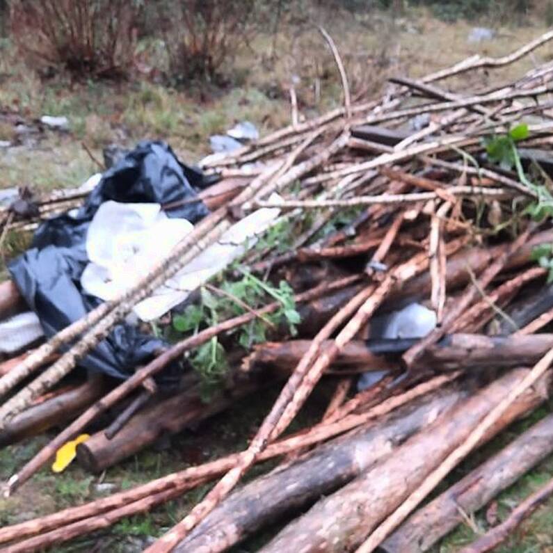 Repeat vandalism at Merlin Woods Community Garden described as "extremely disheartening"