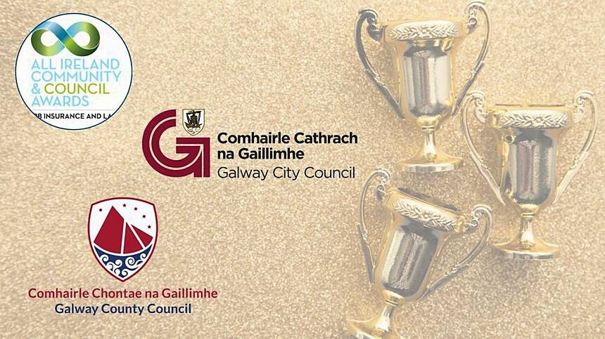 Twelve nominations for Galway's local authorities at national awards