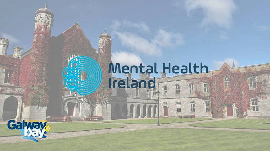 Mental Health Ireland to host hustings for Galway General Election candidates