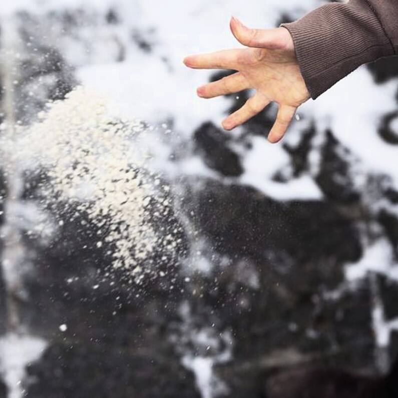 City Council to explore potential to make salt available for communities to grit footpaths