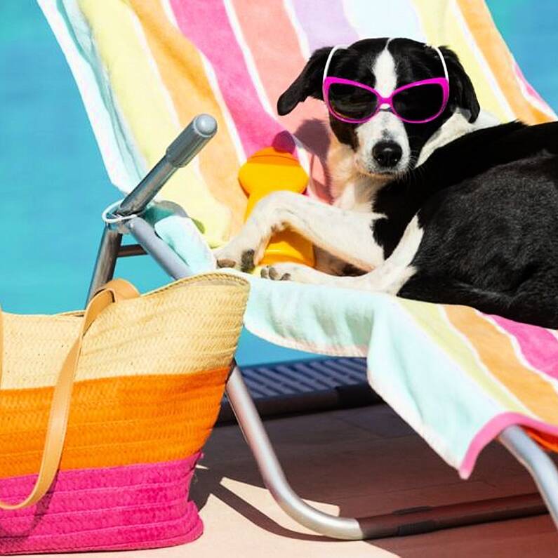 Temperatures could reach up to 24 degrees in Galway this week