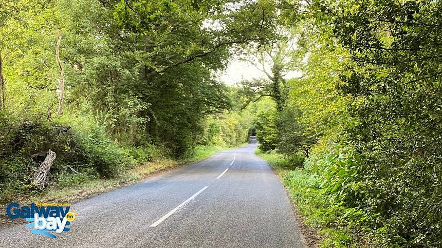 Local councillor calls for reform in Community Involvement Scheme to fell dangerous roadside trees