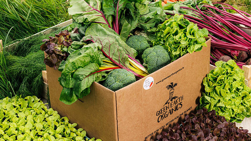 Corrandulla vegetable farm expands online service