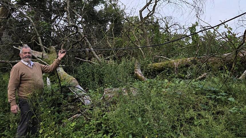 Councillor calls out abandonment of phone wires following recent storms