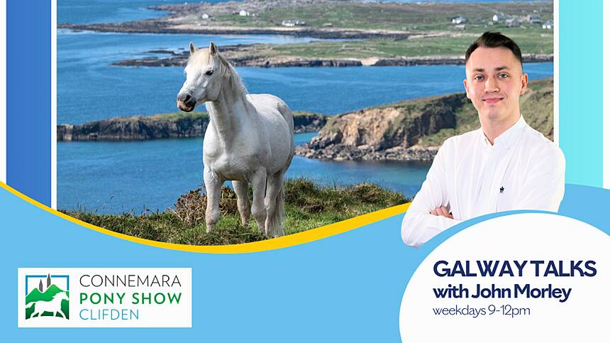 100th Connemara Pony Show