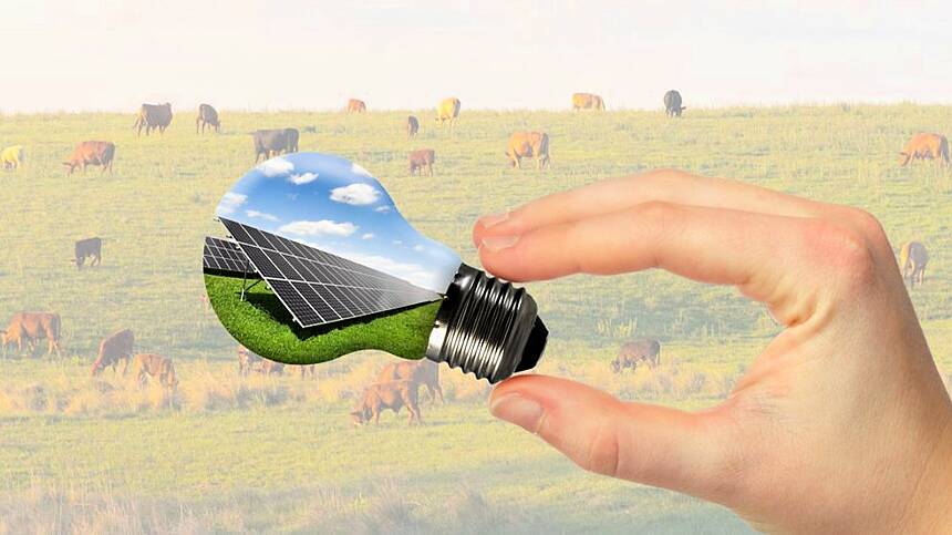 Farm in Loughrea to host IFA solar information event